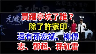 賈躍亭坑了誰？除了許家印，還有孫宏斌、柳傳志、鄧超、孫紅雷，[每日財經]