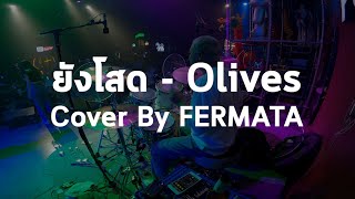 ยังโสด - Olives | Cover By FERMATA | DRUMCAM