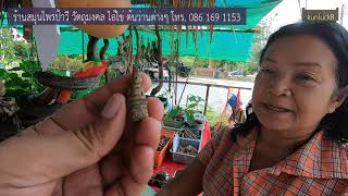 พระเครื่องร้านป้าวี หน้าวัดพระแท่นดงรัง อำเภอท่ามะกา กาญจนบุรี : Amulet Shop