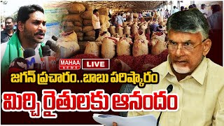 LIVE🔴: జగన్ ప్రచారం..బాబు పరిష్కారం..మిర్చి రైతులకు ఆనందం | Mahaa News