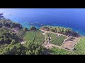 Hvar Island Wine Tours - Vineyard wine tasting