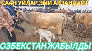 ОЗГОН МАЛ БАЗАРЫ СААН УЙ БОЗ КУНАЖЫН БАЛАРЫ.09.02.2025.#ПАМИРТВ #КУРШАБ #ОЗГОН #КРАСНЫЙМАЯК