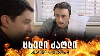 ცხელი ძაღლი | სეზონი 5 სერია 4