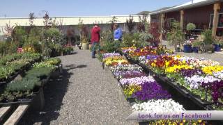 Patt's Garden Center