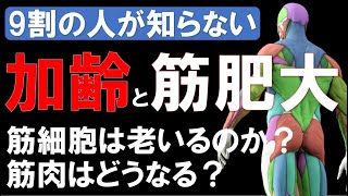 【筋トレ科学】加齢と筋肥大率の関係　~年齢による筋老化を予防する科学~