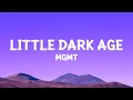 MGMT - Little Dark Age (Lyrics)