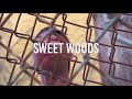 “sweetwoods” ft. i.q shot by eazymelow