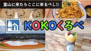 #105 【これが道の駅だと？！】名産・ご当地グルメに遊具、水遊びまで出来ちゃう最高すぎる道の駅KOKOくろべ