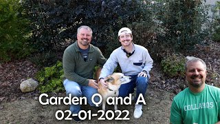 Garden Q and A - Meet My Son - Does Criticism Bother Me? - Dividing Liriope? - 02-01-2022