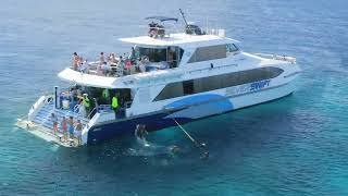 SILVERSWIFT - certified scuba diving on the Great Barrier Reef