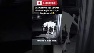 Mysterious Creature Caught on Ring Camera!? 😳 What Could It Be? #mystery #shorts #fyp #shortsfeed