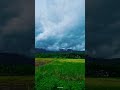 എന്റെ വീട് serenity in the paddy fields nature’s symphony