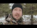 snowshoe hare hunting in spring 2022 british columbia