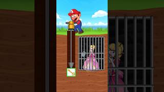 Mario's Race Against Time: Unlock the Jail and Save the Princess Peach!