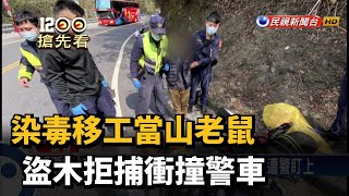 染毒移工當山老鼠 盜木拒捕衝撞警車－民視新聞