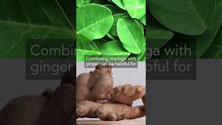 Combine Moringa \u0026 Ginger To Fight Off Deadly Diseases! #moringa #weightloss  #antiinflammatory