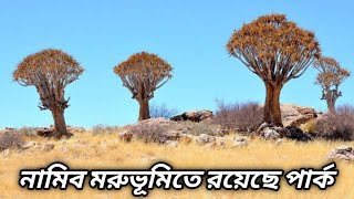 Namib Naukluft National Park _ নামিব মরুভূমিতে রয়েছে পার্ক। নামিব মরুভূমির সৌন্দর্য #মরুভূমি #facts