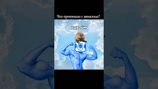 Сидим с бобром за столом, вдвоём, на ужин готовим полено #авиасеилс #рек #бобер #бобёр #бобр