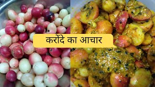 करोंदे का आचार / cranberry pickle/how to make karonda pickle/kalakai pickle recipe