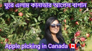 কানাডার আপেল বাগান।।Apple picking and Farm Tour in Canada ।।