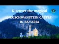 Neuschwanstein Castle in Bavaria #shorts