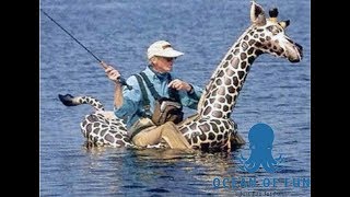 TOP 20 -  Fishing fails #1