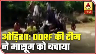 Odisha: ODRAF Team Rescues 5 Year Old Stuck In Flowing River | ABP News