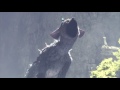 The Last Guardian: Trico and Boy Escape Cave