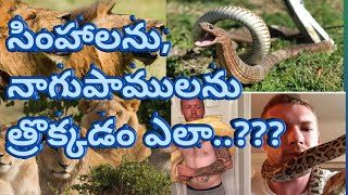 91వ కీర్తన ఇంత అద్భుతంగా ఎవరు చెప్పలేరేమో..¡¡గ్రేస్ చిల్డ్రన్ మినిస్ట్రీస్౹౹సండే స్కూల్౹౹