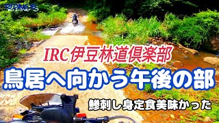 【伊豆林道で遊ぶ】IRC伊豆林道倶楽部午後は鳥居へ向かう【鯵の刺身定食は美味かった】