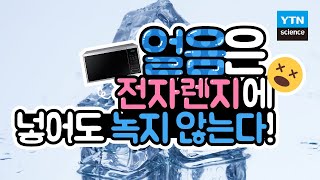 [30초 과학] 얼음은 전자렌지에 넣어도 녹지 않는다?! / YTN 사이언스