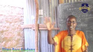 Grade 1 Environmental Activities: Parts of the Body | Lesson by Madam Felister Cherono