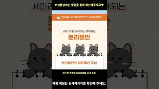 리스펫 고양이 두더지래쳐 사냥 놀이, 블루, 1개 높은 판매량 추천 #shorts 내돈내산