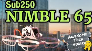 Is the SUB250 Nimble 65 the BEST Tinywhoop of 2024? 🤔 Ultimate Review \u0026 Flight Test 🚁🔥