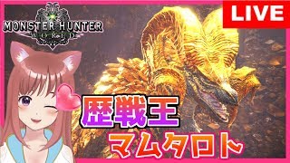 【 MHW】アステラ祭り　参加型マルチ【女性実況】モンスターハンターワールド