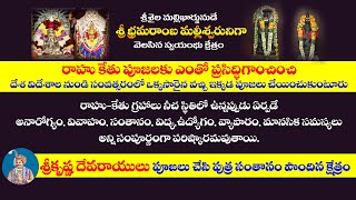 సంవత్సరములో ఒక్కసారైనా విదేశాలు నుండి వచ్చి పూజలు చేయంచుకుంటారు | peda kakani | Rahu Kethu pooja 2