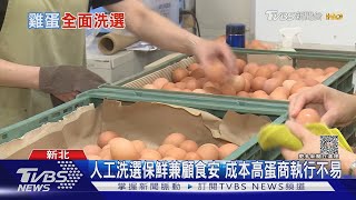 農委會「顧食安」推雞蛋全面洗選!業者憂損耗率｜十點不一樣20230426@TVBSNEWS02