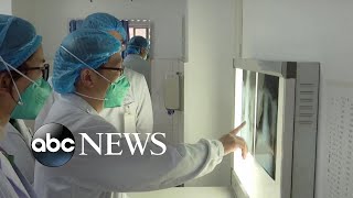 Mysterious coronavirus kills 2, sickens dozens