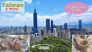 TAIWAN Vlog 9 (Taipei): Ximending, Dihua, Taipei 101, Night Market, Capibara (e tanto altro!)