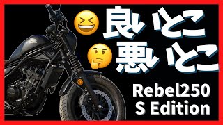 【Rebel250 SE】レブル250レビュー　教習車と全然違う！初めてのバイクにレブル250を選んだ初心者がインプレッション【良いとこ・悪いとこ】