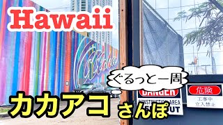 【ハワイ・カカアコさんぽ】ホールフーズからソルトまでカカアコエリア散策。人気ウォールアートや飲食店の位置関係は如何に！？