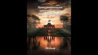 Мудрость дня  31. Когда человек обретает добродетель? Мудрые слова,цитаты и афоризмы