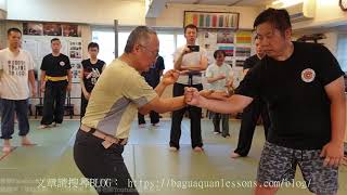 【八卦套路教學】【20190809(11)】八掌拳 大鵬展翅 翻的力量