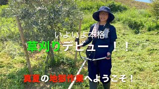 １０　女性農業チャレンジ　草刈りデビュー編