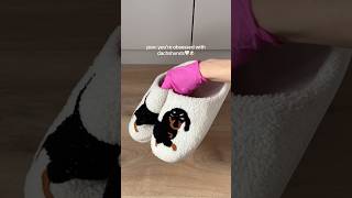 These slippers are so cute!🐶🤎