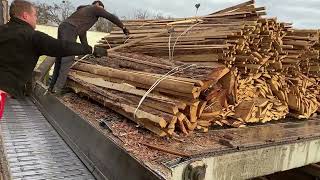 Turning Logs into Gold: Professional Wood Chip Productio.