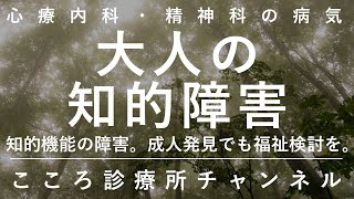 大人の知的障害【IQ70未満、知的機能の困難。成人で見つかる場合も。精神科医が9分でまとめ】