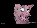 Believer- warrior cats