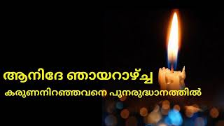 കരുണനിറഞ്ഞവനെ പുനരുദ്ധാനത്തിൽ / ആനിദേ ഞായറാഴ്ച / Karuna niranjavane / Anidhe Sunday