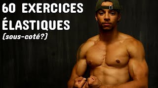 Les 60 MEILLEURS EXERCICES avec des ÉLASTIQUES pour TOUT LE CORPS *prendre du muscle sérieusement*